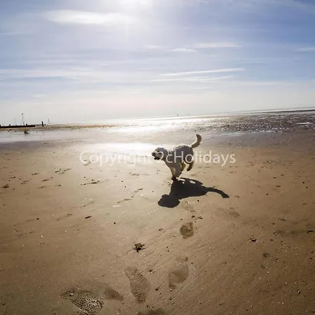 Dog Friendly 8 Berth Caravan, Minutes From The Beach In Hunstanton Ref 13003L Exterior photo